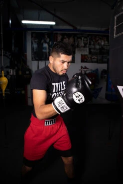 Pro Mex Professional Bag Gloves V3.0 -Titleboxing Shop pmhbg3 bk 2