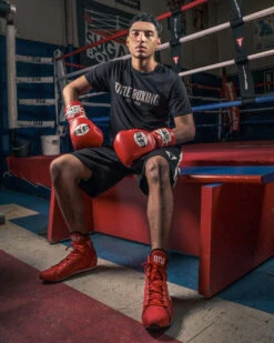 Pro Mex Professional Lace Sparring Gloves V3.0 -Titleboxing Shop pmtgl3 rd 1 3