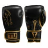 TITLE Boxing Roberto Duran Signature Leather Bag Gloves 1 TITLE Boxing Roberto Duran Signature Leather Bag Gloves -Titleboxing Shop rdbg 01