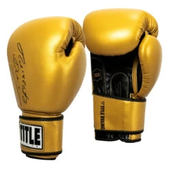 TITLE Boxing Roberto Duran Leather Training Gloves 12 TITLE Boxing Roberto Duran Leather Training Gloves -Titleboxing Shop rdtg gd bk 02