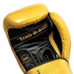 TITLE Boxing Roberto Duran Leather Training Gloves 15 TITLE Boxing Roberto Duran Leather Training Gloves -Titleboxing Shop rdtg gd bk 05