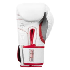 TITLE Boxing Gel Special Edition Bag Gloves -Titleboxing Shop setgbg sv wh rd 04
