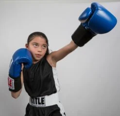 TITLE Boxing Aerovent Elite Amateur Set - Original -Titleboxing Shop tabs 1