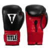 TITLE Boxing Infused Foam Youth Training/Sparring Gloves -Titleboxing Shop tifysg rd bk 01