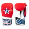 TITLE Boxing USA Leather Bag Gloves -Titleboxing Shop usabg 01