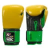 WBC By TITLE Boxing Jose Sulaiman Training Gloves 2 WBC By TITLE Boxing Jose Sulaiman Training Gloves -Titleboxing Shop wbcjpfg gd gn 01 1 1