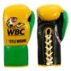 WBC By TITLE Boxing Jose Sulaiman Leather Gloves -Titleboxing Shop wbcjsg gd bk 01