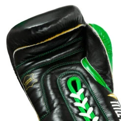 WBC By TITLE Boxing Sparring Gloves -Titleboxing Shop wbcsg bk gn 05