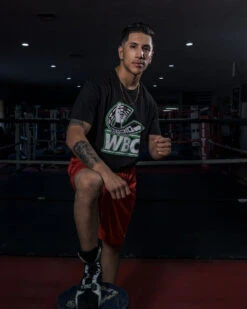 WBC By TITLE Boxing Flag Tee -Titleboxing Shop wbct2