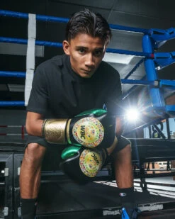 WBC By TITLE Boxing Green Belt Training Gloves 1.0 -Titleboxing Shop wgbtg bk 2 1