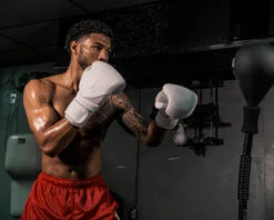 Titleboxing Shop -Titleboxing Shop whbg2