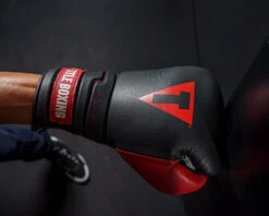 TITLE Boxing Z-FLY Bag Gloves -Titleboxing Shop zflybg bk rd 6 1